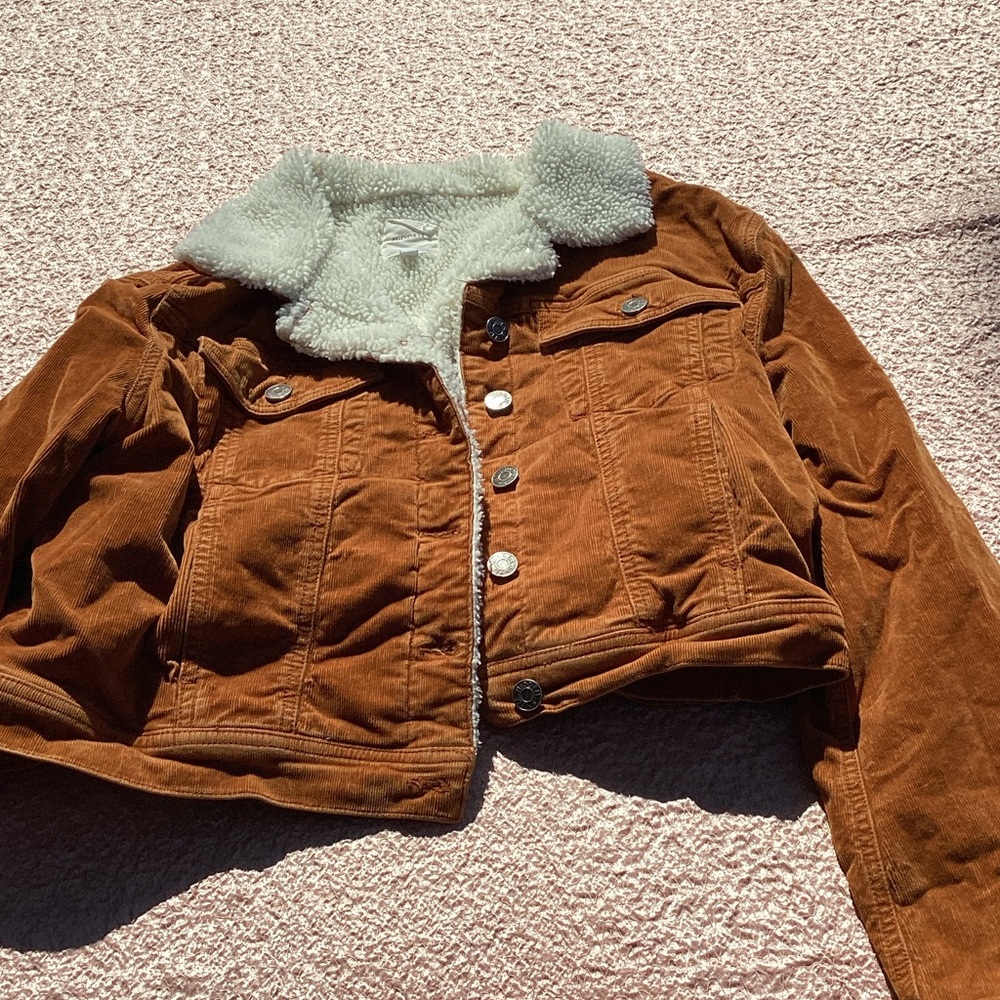 Stylish Brown Teddy Jacket with Cream Lining